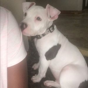 Meet your Posher, Adrianne